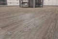 TAIGA - Curate Collection - Salvage