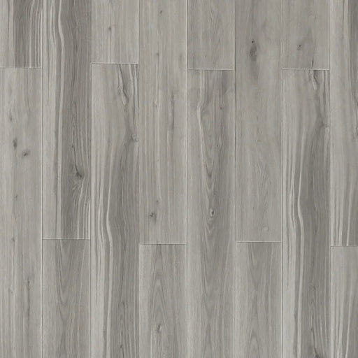 Toucan - SPC903 - Sawn Maple