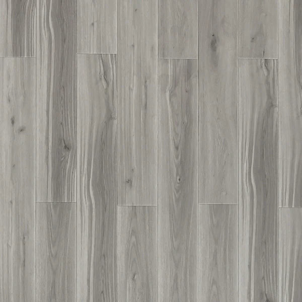 Toucan - SPC903 - Sawn Maple