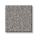 Shaw Floors - Carpet - Simply The Best  - TRUSOLUTIONS III - Storm Cloud