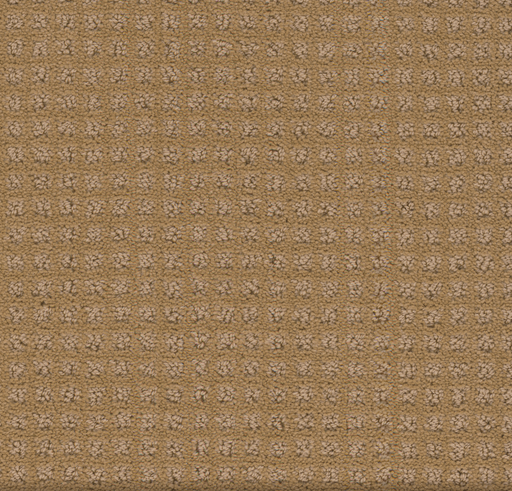 Primco - Estates Carpet - Manhattan Design Collection - Nori Beige