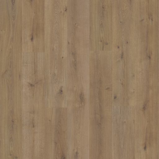 Primco - Estates Laminate - Sequoia Collection - Eagle Scout