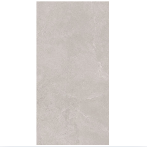 OLYMPIA TILE + STONE - PORCELAIN COLOURED BASE - ARKIPRO SERIES - 24" X 48" - RUPE