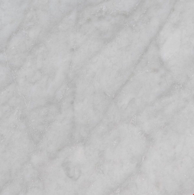 MSI - CARRARA WHITE (C)  HONED - Tile - 18" x 18"