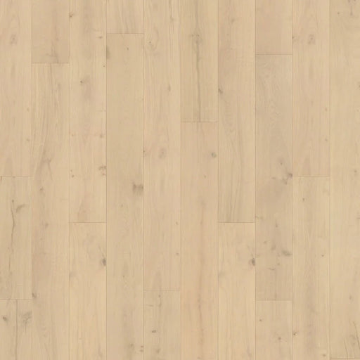 Caledon - Origins Collection - Shell Beach