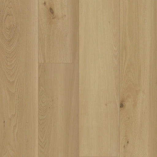 BIYORK - HydroGen 8 - Silent Morning