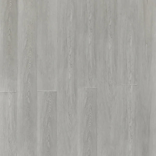 Toucan - SPC906 - Snowfall