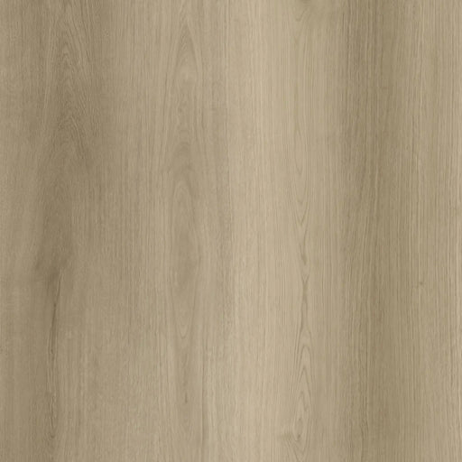 Goodfellow - Arctik Collection - Stavern