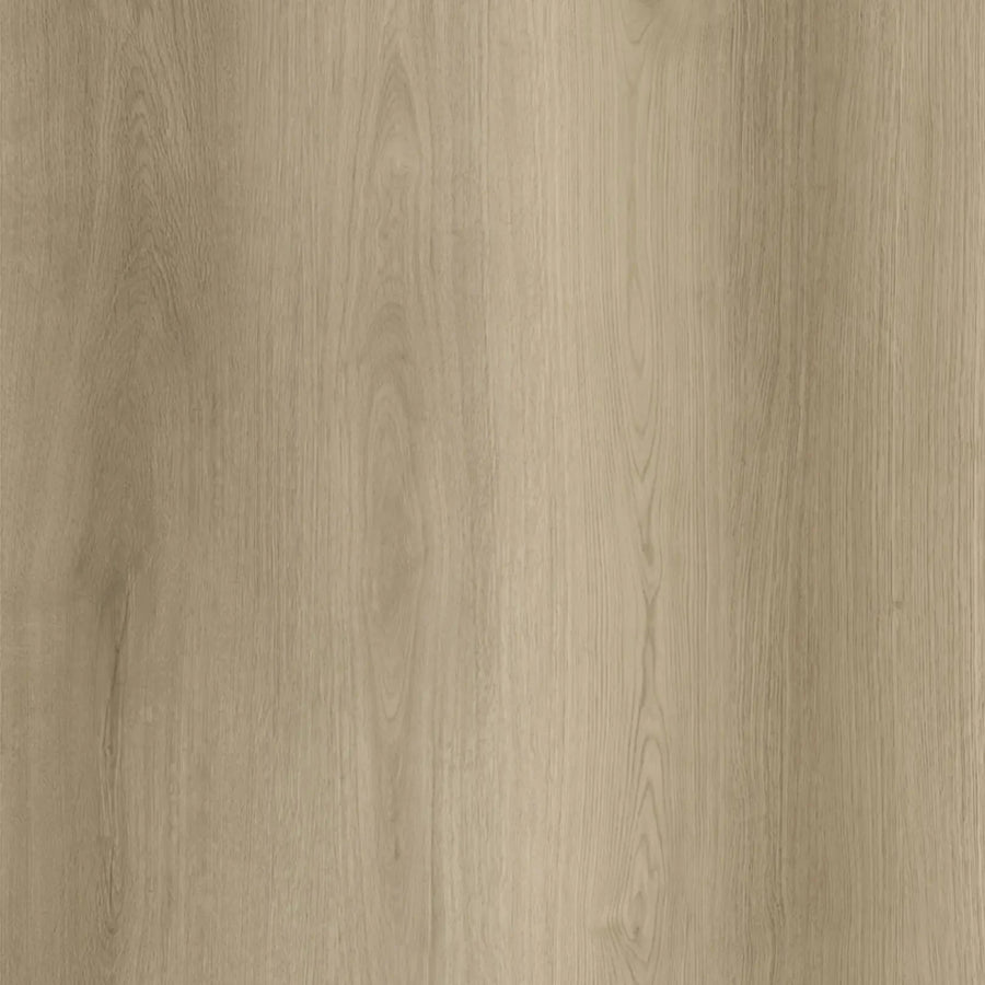 Goodfellow - Arctik Collection - Stavern