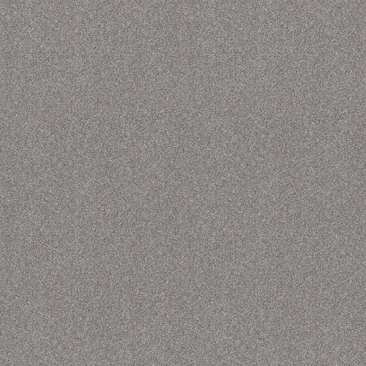 Shaw Floors - Carpet - Simply The Best  - Attainable - Sterling