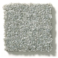 Shaw Floors - Carpet - Simply The Best  - Attainable - Sterling