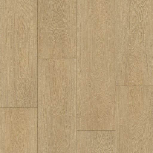 Caledon - ARTIMIS Collection - Stormy Dawn