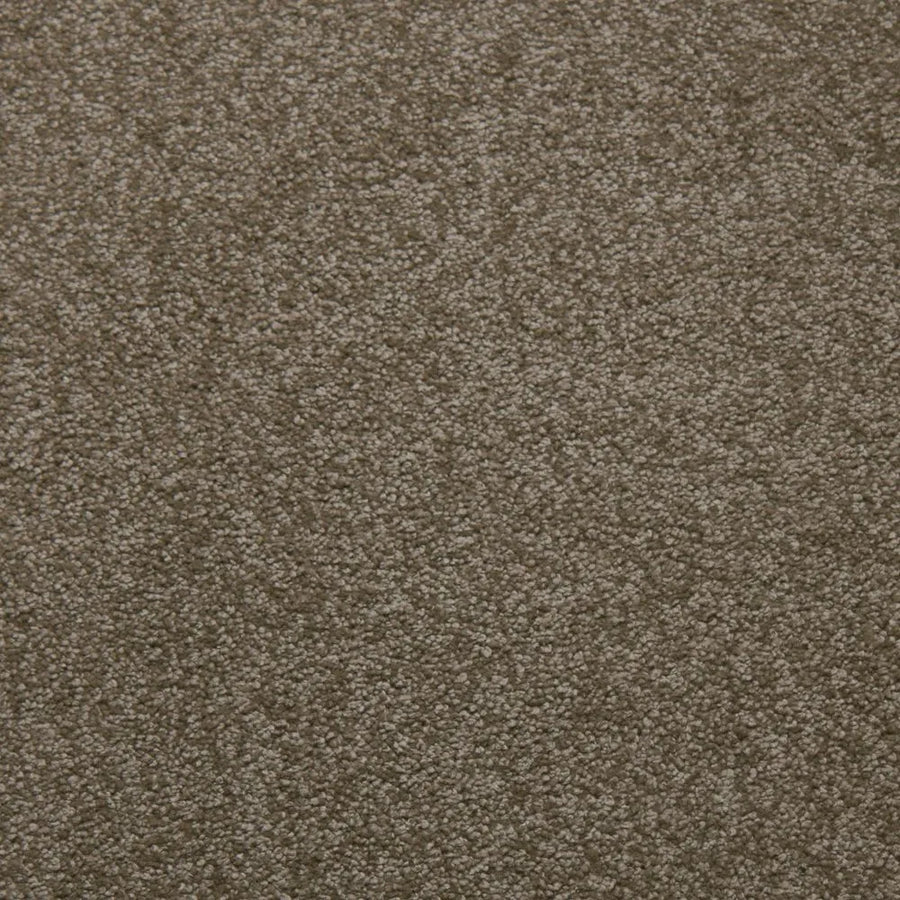 Primco - Estates Carpet - Tender Collection - Suede