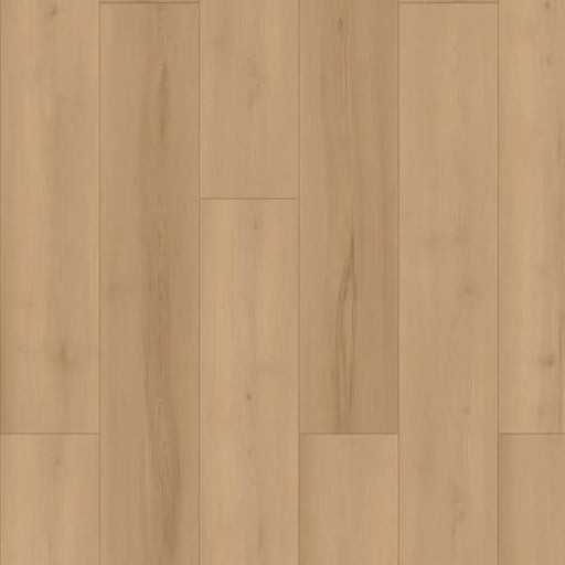 GoodFellow - HydraSafe Collection - Sundown