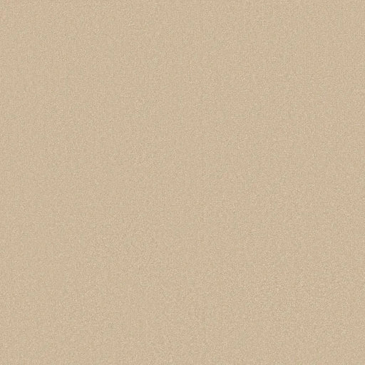 Shaw Floors - Carpet - Classics Collection  - Awaken Spirit II 12' - Sunlight