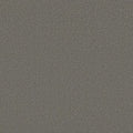 Shaw Floors - Carpet - Classics Collection  - Awaken Spirit I 12' - Taupetone