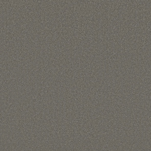 Shaw Floors - Carpet - Classics Collection  - Awaken Spirit I 12' - Taupetone