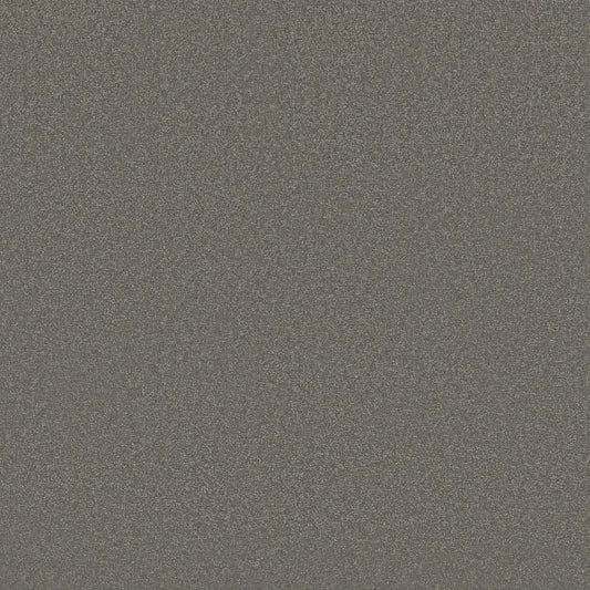 Shaw Floors - Carpet - Classics Collection  - Awaken Spirit II - 12' - Taupetone