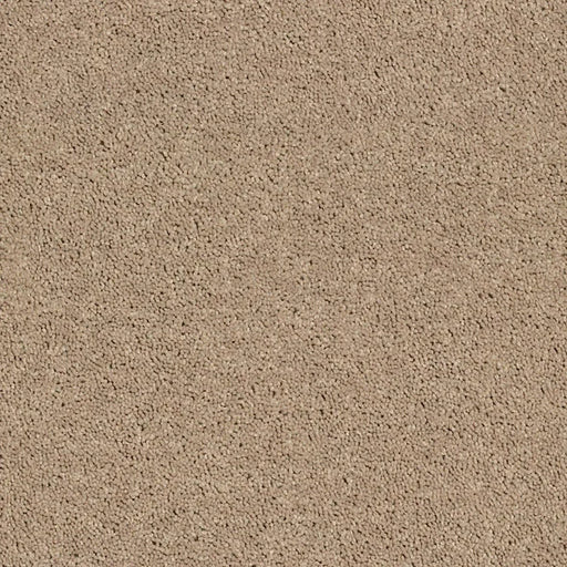 Shaw Floors - Carpet - Full Court 12' - Tassel