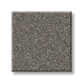 Shaw Floors - Carpet - Classics Collection  - Awaken Spirit I 12' - Taupetone
