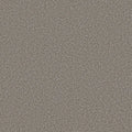 Shaw Floors - Carpet - Simply The Best  - TRUSOLUTIONS III - Tree Bark