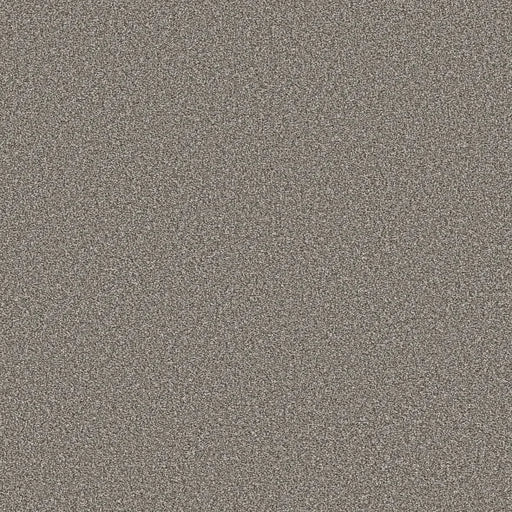 Shaw Floors - Carpet - Simply The Best  - TRUSOLUTIONS III - Tree Bark