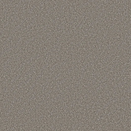 Shaw Floors - Carpet - Simply The Best  - TRUSOLUTIONS III - Tree Bark