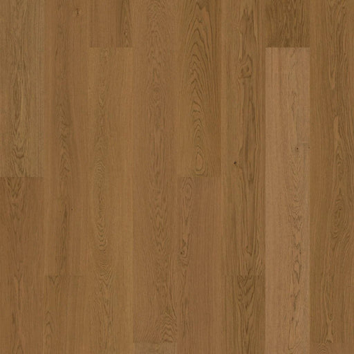 BJELIN - WOODURA - NATURE COLLECTION - XXL FORMAT - OAK - TERRA BROWN