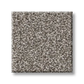 Shaw Floors - Carpet - Simply The Best  - TRUSOLUTIONS III - Tree Bark