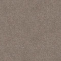 Shaw Floors - Carpet - Simply The Best  - TRUSOLUTIONS III - Taupe Dream