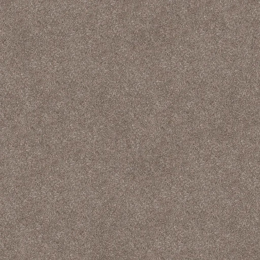 Shaw Floors - Carpet - Simply The Best  - TRUSOLUTIONS III - Taupe Dream