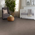 Shaw Floors - Carpet - Simply The Best  - TRUSOLUTIONS III - Taupe Dream