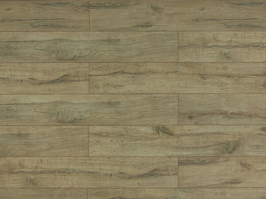 Toucan TF6010-F Brownstone