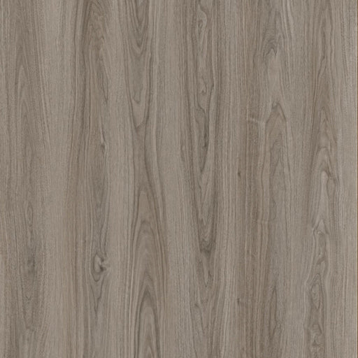 Toucan - TF 6603-F - Santa Fe