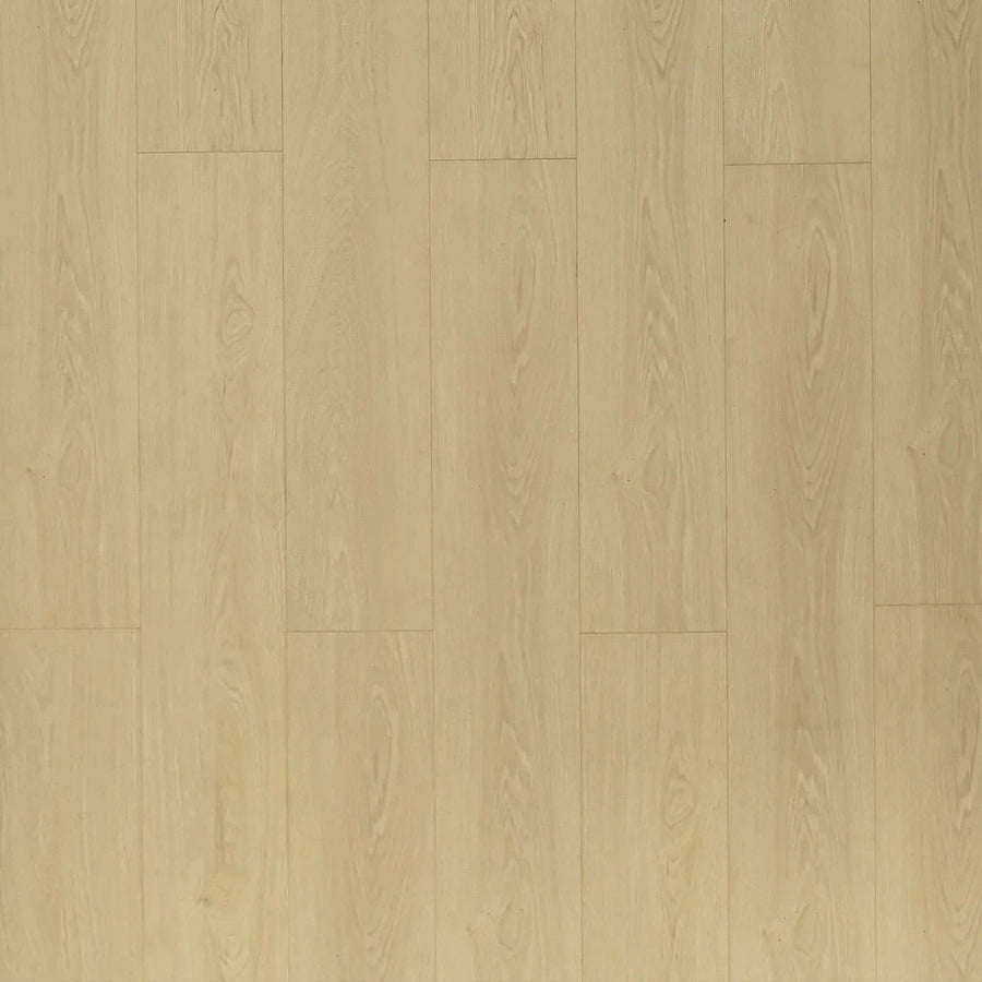 Toucan - TF 8103 - 72 Hour Water Resistant Laminate - Bandelier