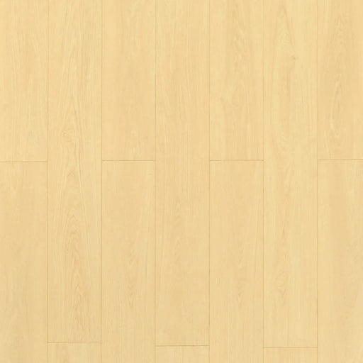 Toucan - TF 8104 - 72 Hour Water Resistant Laminate - Dune