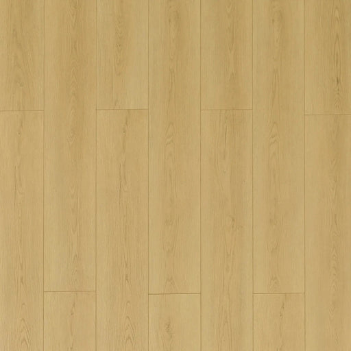 Toucan - TF 8107 - 72 Hour Water Resistant Laminate - Muscatine