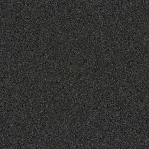 Shaw Floors - Carpet - COMFORTING I - Top Hat