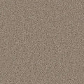 ACORN DESIGN - PACIFIC RIM COLLECTION - 24OZ CUT PILE CARPET - TIMBERLINE