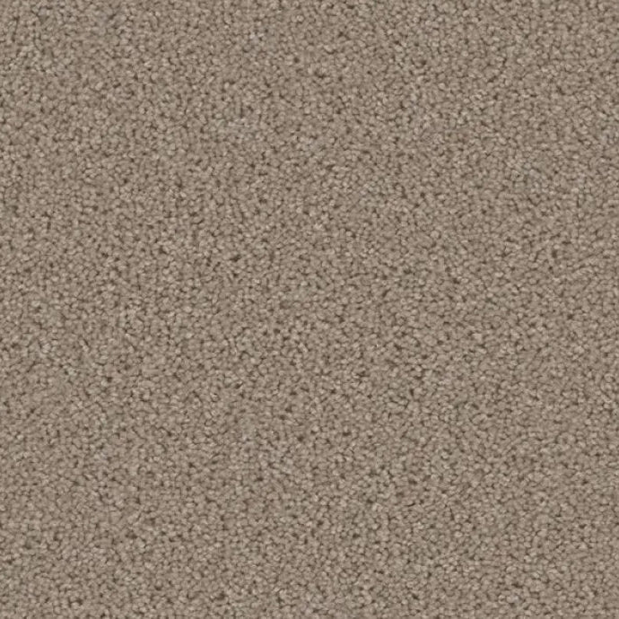 ACORN DESIGN - PACIFIC RIM COLLECTION - 24OZ CUT PILE CARPET - TIMBERLINE
