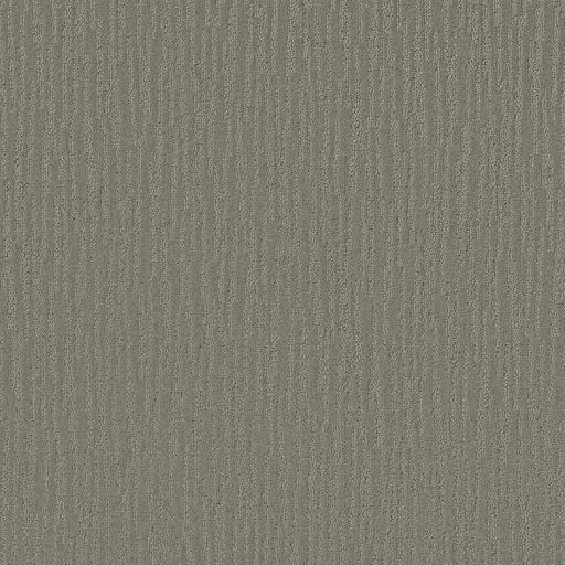 Shaw Floors - Carpet - Simply The Best Collection - Bandon Dunes - Titanium