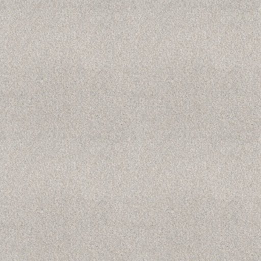 Shaw Floors - Carpet - COMFORTING II - Thin Ice