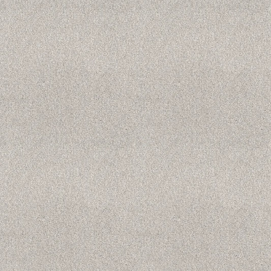 Shaw Floors - Carpet - COMFORTING II - Thin Ice