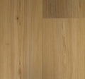 TAIGA - Curate Collection - Toulouse