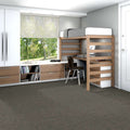 Shaw Floors - 5th & Main Carpet - Knock Out Collection - Triumph