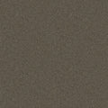 Shaw Floors - Carpet - Simply The Best  - Attainable - Urban Loft
