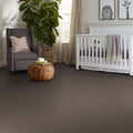 Shaw Floors - Carpet - Simply The Best  - Attainable - Urban Loft
