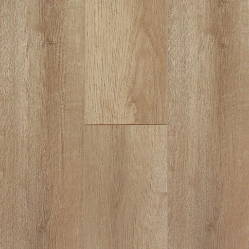 PRAVADA - PURE TOUCH COLLECTION - VINEYARD