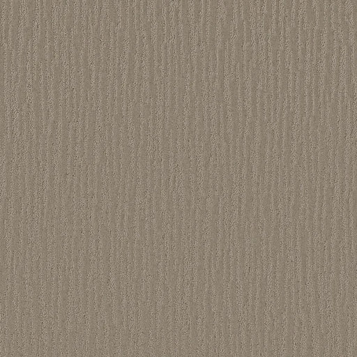 Shaw Floors - Carpet - Simply The Best Collection - Bandon Dunes - Valley Mist