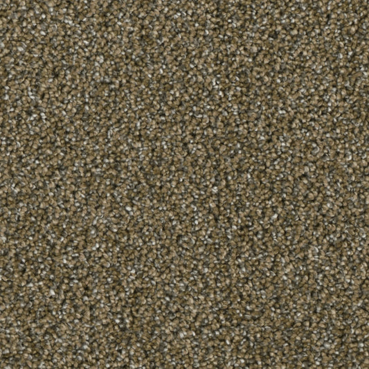 Primco - Estates Carpet - Majesty Collection - Vision